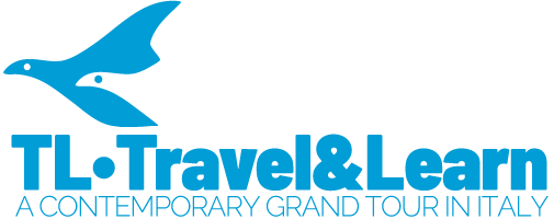 Logo TL Travel and Learn