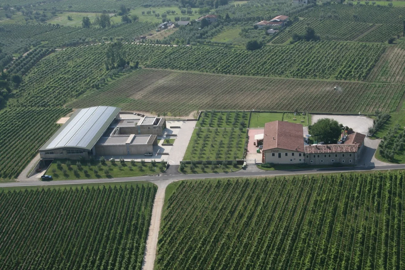 view of pasini sangiovanni farm